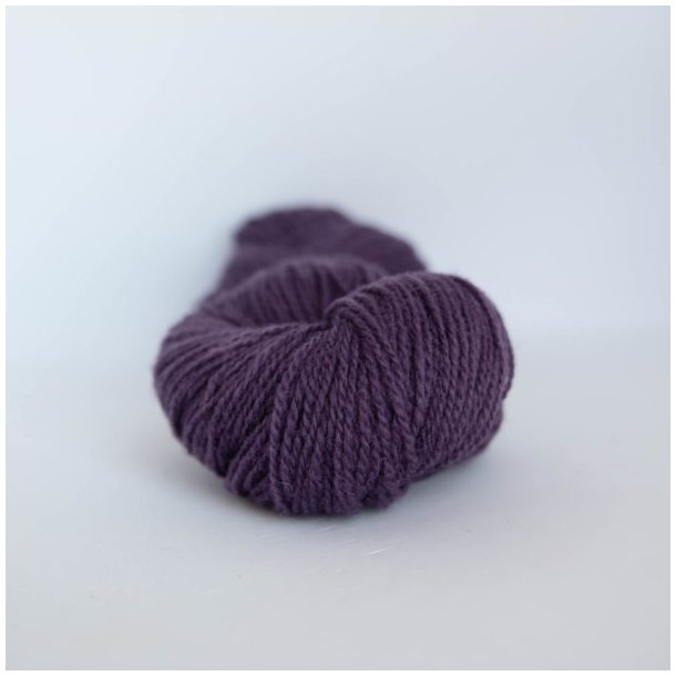 Ask - 6079 blviolet