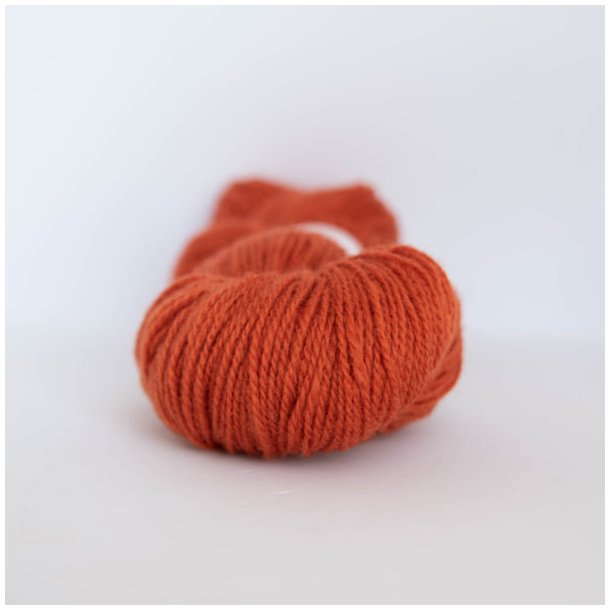 Ask - 6096 brndt orange