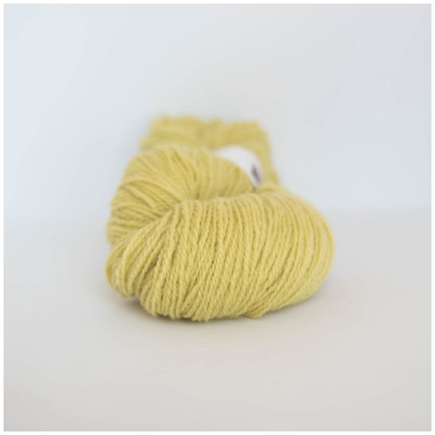 Ask - 6120 lys lime