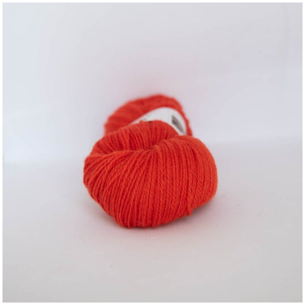 Ask - 6131 orangerd